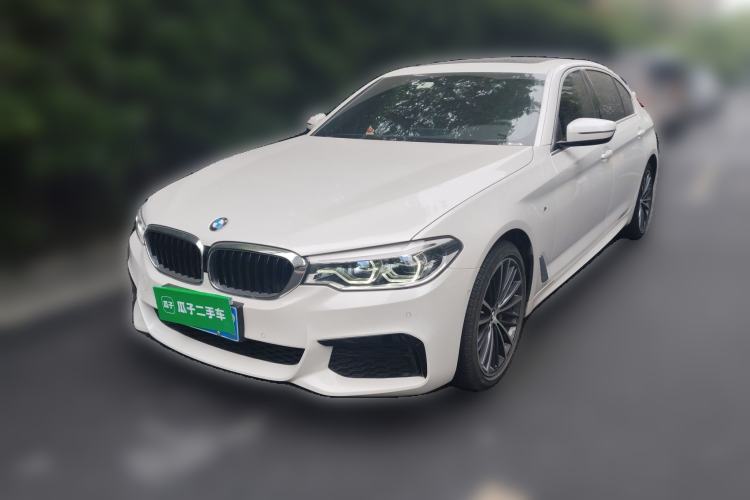 Used BMW 5 Series 2020 530Li Leading Model M Sport Package