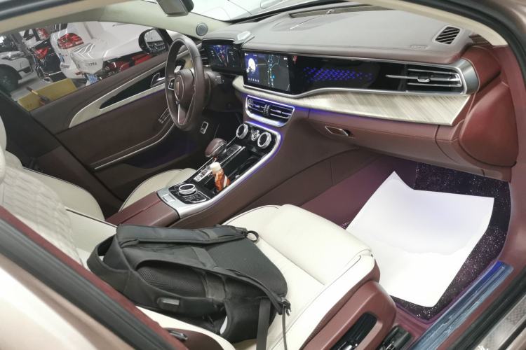 Used Hongqi H9 2020 3.0T Smart Connect Flagship Four-Seat Version