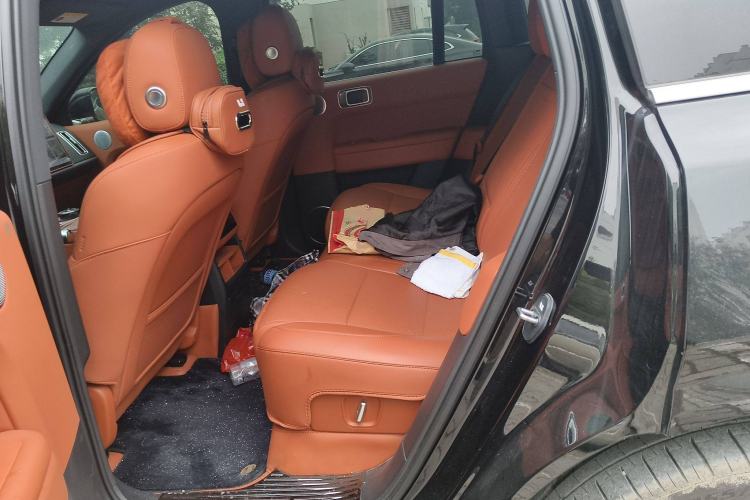 Used Li Auto L6 2024 Pro Model Left Rear Seat