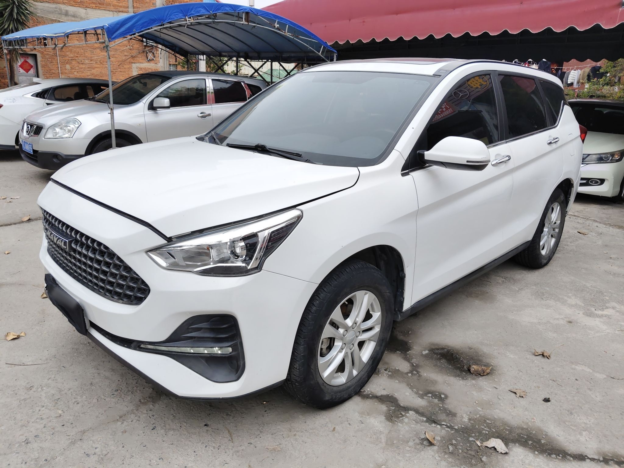 Parte inferior delantera