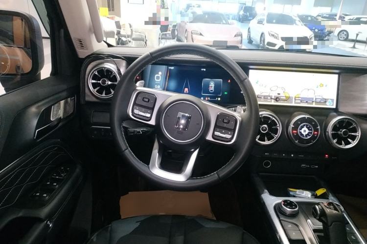 Used Tank 300 2024 2.0T Conqueror