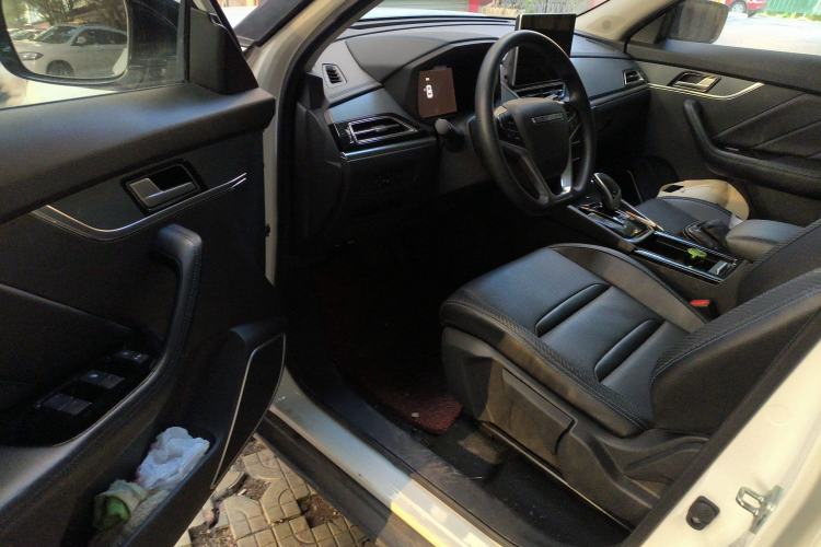 Used Venucia T60EV 2020 AI Enjoyment Model