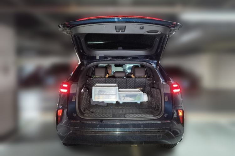 Used Wey Mocha New Energy 2023 Two-Wheel Drive Long-Range Version