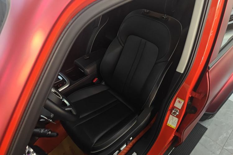 Used Tank 300 2024 2.0T Crosser