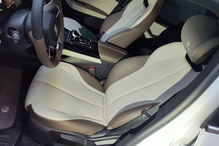 Used BYD Qin PLUS 2023 Champion Edition DM-i 55KM Leading Model Left Front Seat