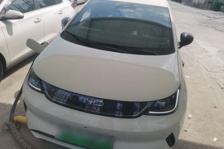 Used BYD Dolphin 2025 Smart Drive Version 420 km Freedom Edition