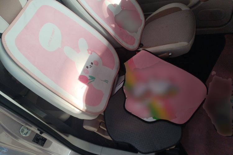 Used Bestune Pony 2026 222km Colorful Horse Right Front Seat