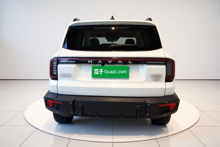 Used Haval DARGO 2024 2.0T DCT Chinese Rural Dog Edition Rear