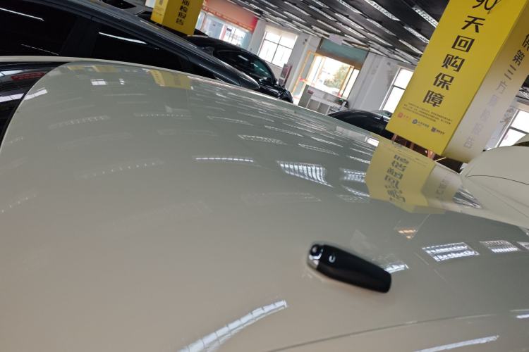 Used BYD Dolphin 2025 420km Free Edition