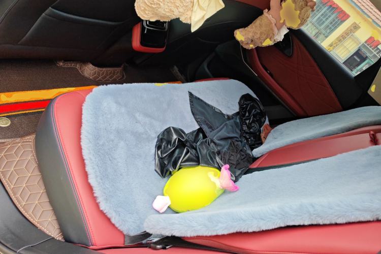 Used EXEED Stellar C-DM 2025 210 Extended-Range Pro Two-Wheel Drive