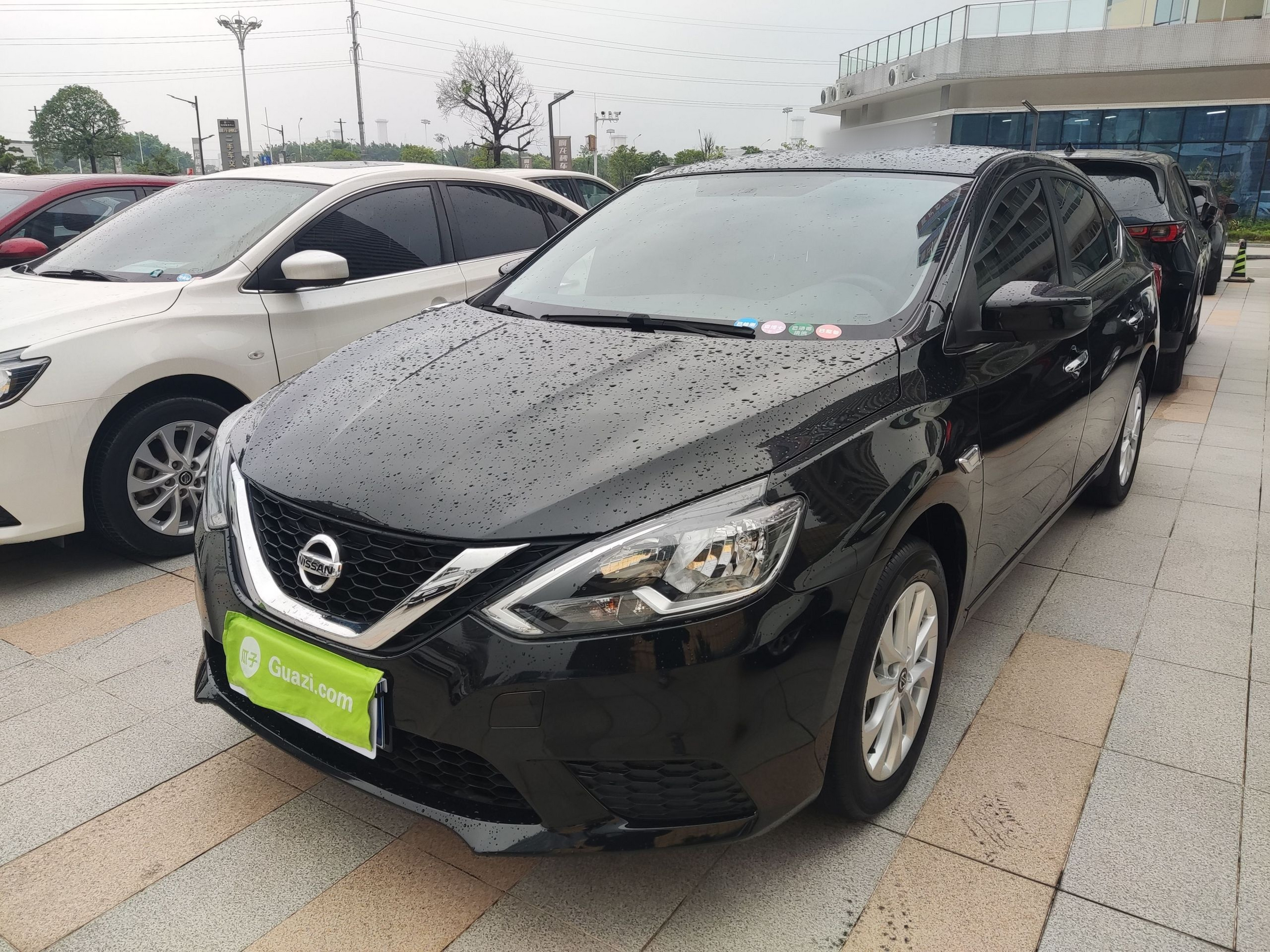 Parte inferior delantera