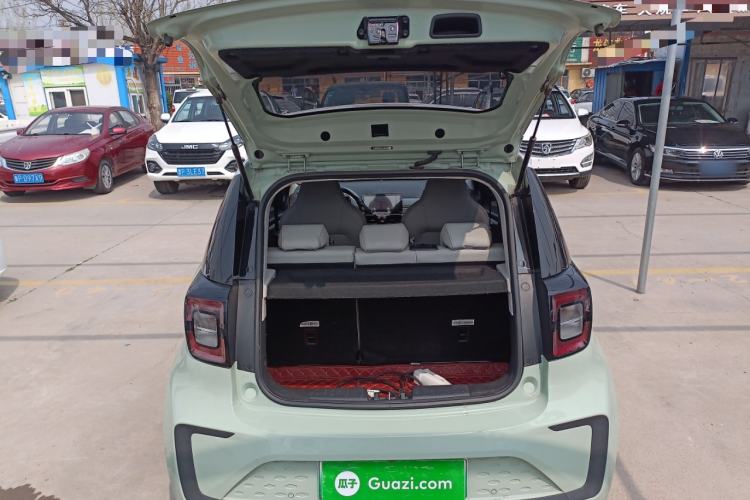 Used SOL E10X 2022 Flower Fairy Design Four-Leaf Clover