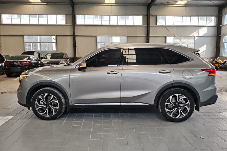 Used Haval Fierce Dragon Max 2023 1.5L Hi4 105 Four-Wheel Drive Smart Flagship Edition Left Side