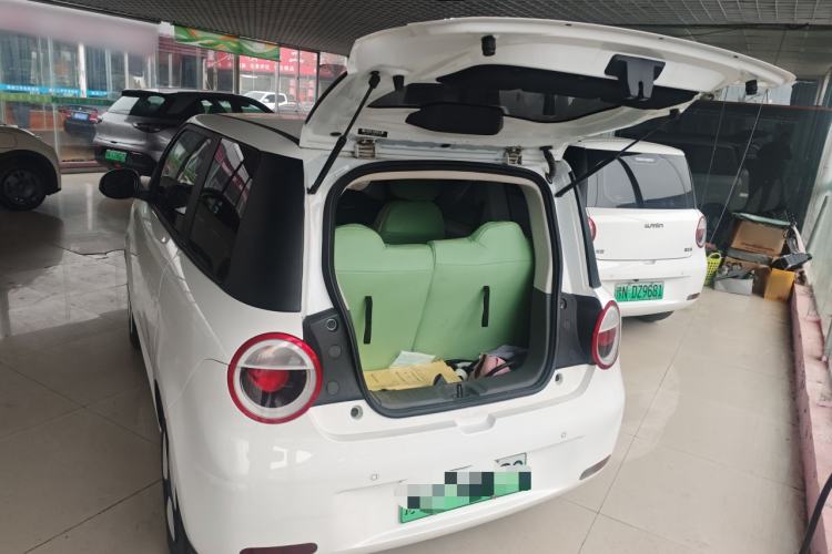 Used Qiyuan Lumin 2023 205km Xiangqin Version
