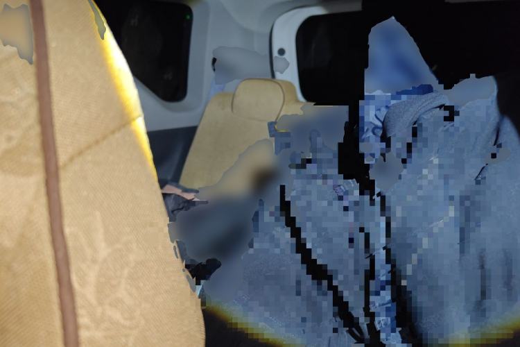 Used Geely Galaxy Panda 2024 Panda Mini 200km Endurance Bear