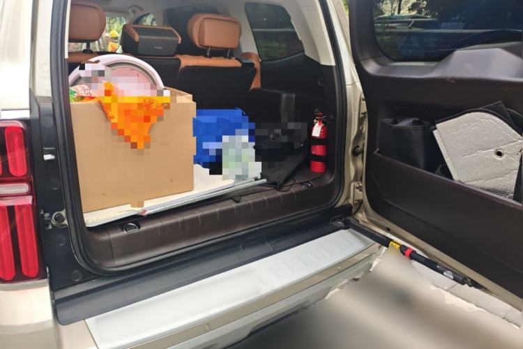 Used Tank 500 New Energy 2025 Hi4-Z
