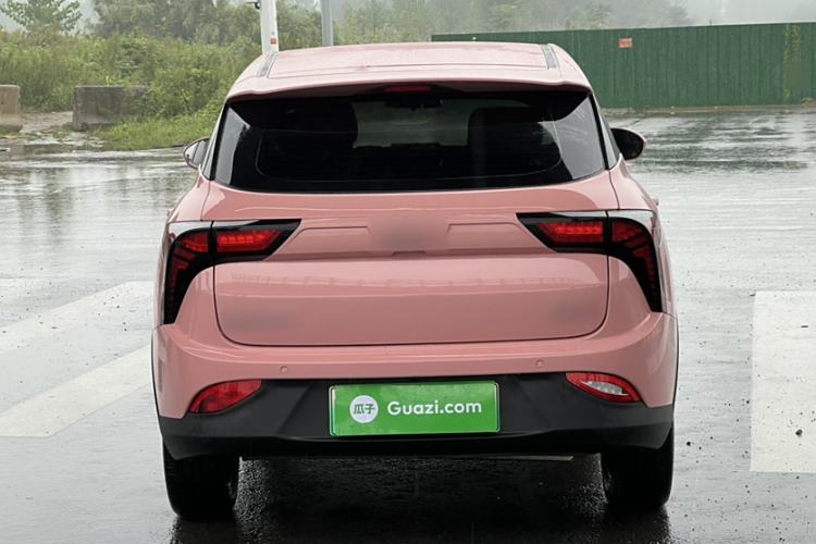 Used NETA V 2022 Chao 400 Lite Pink Custom Edition