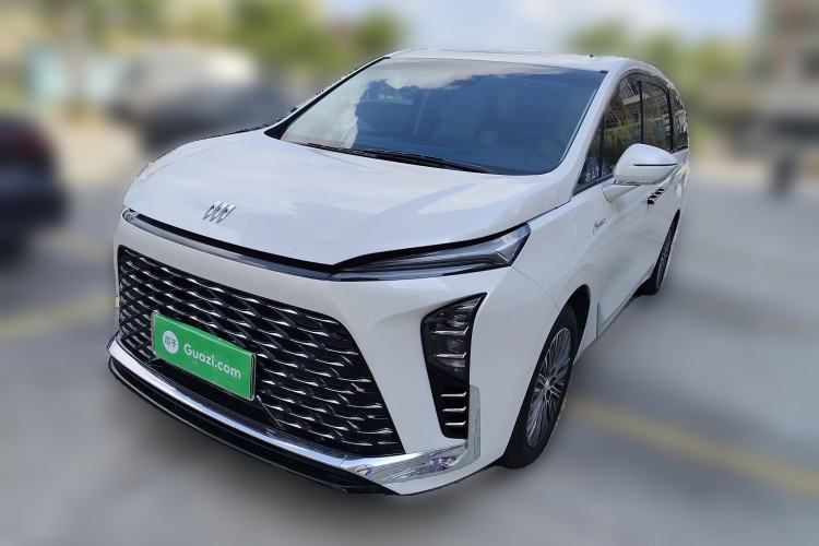 Used Buick GL8 New Energy 2024 Lu Zun Luxury Edition 7-Seater