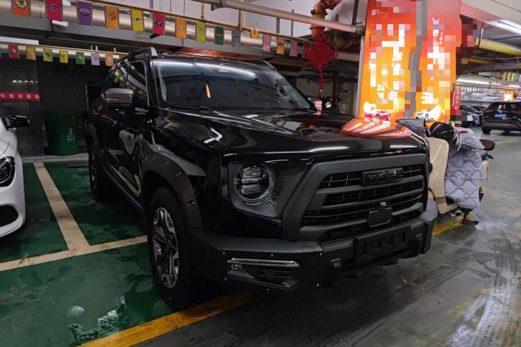 Used Haval DARGO 2024 2.0T DCT Chinese Rural Dog Edition
