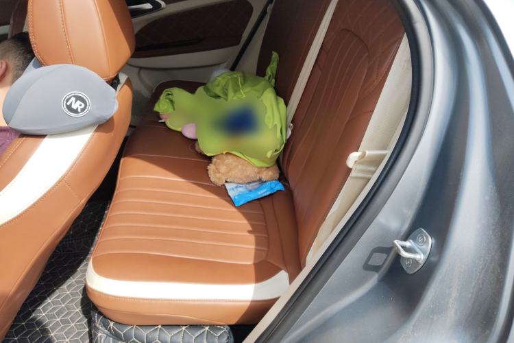 Used ORA Good Cat 2024 401 km Luxury Version