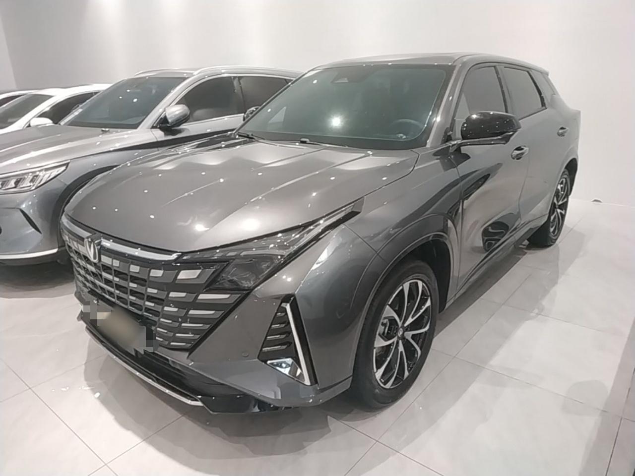 Sottocarro anteriore