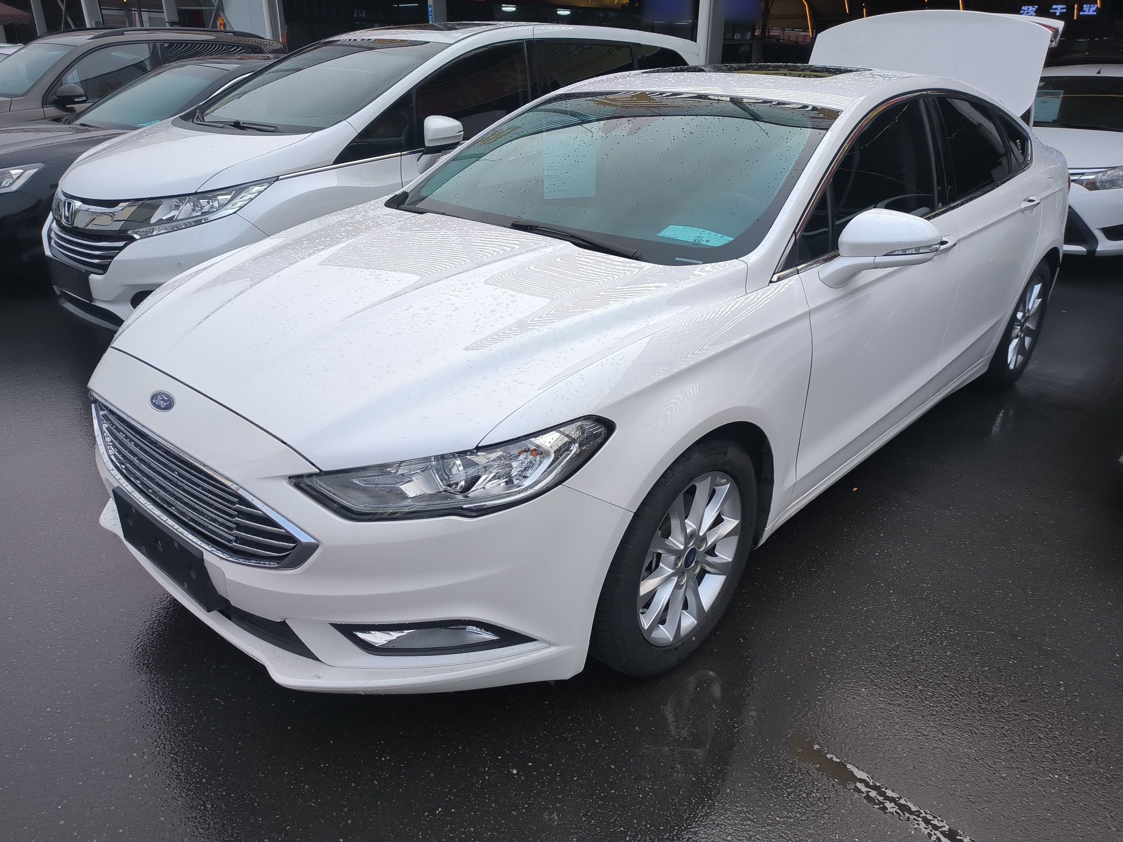 Parte inferior delantera