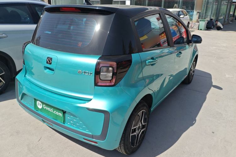 Used SOL E10X 2022 Flower Fairy Design Four-Leaf Clover
