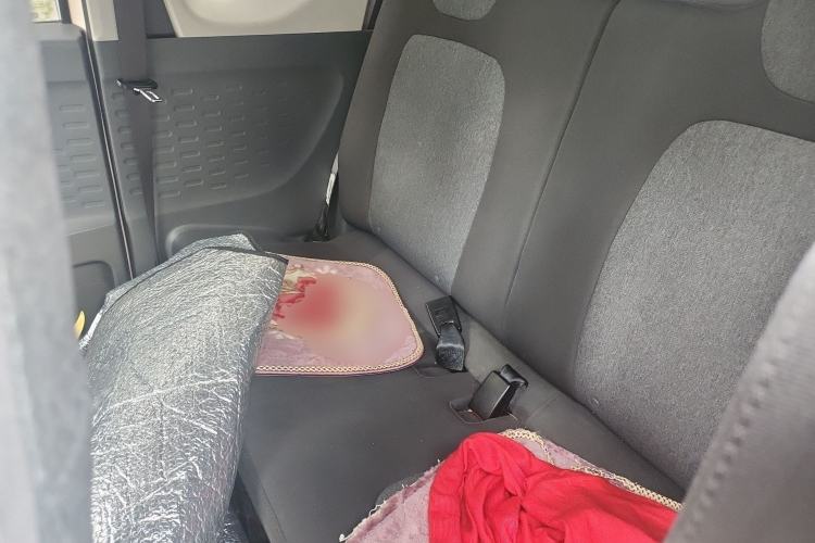 Used Wuling Hongguang MINIEV 2022 Macaron Premium Model – Lithium Iron Phosphate Left Rear Seat