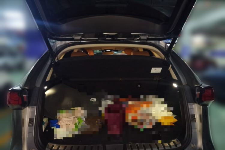 Used Lexus NX 2020 300h Front-Drive FENGSHANG Version China VI Standard Trunk