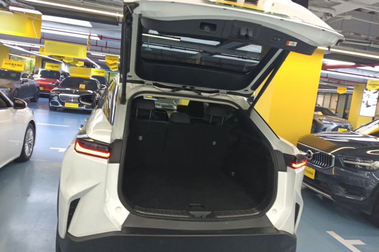 Used Lexus RZ 2023 450e All-Wheel-Drive Long-Range Version Trunk