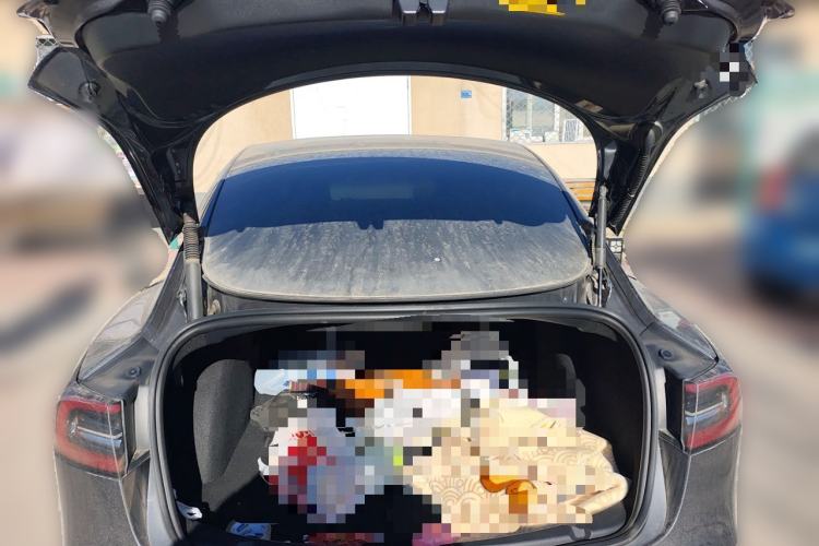 Used Tesla Model 3 2022 Performance High-Performance All-Wheel-Drive Version