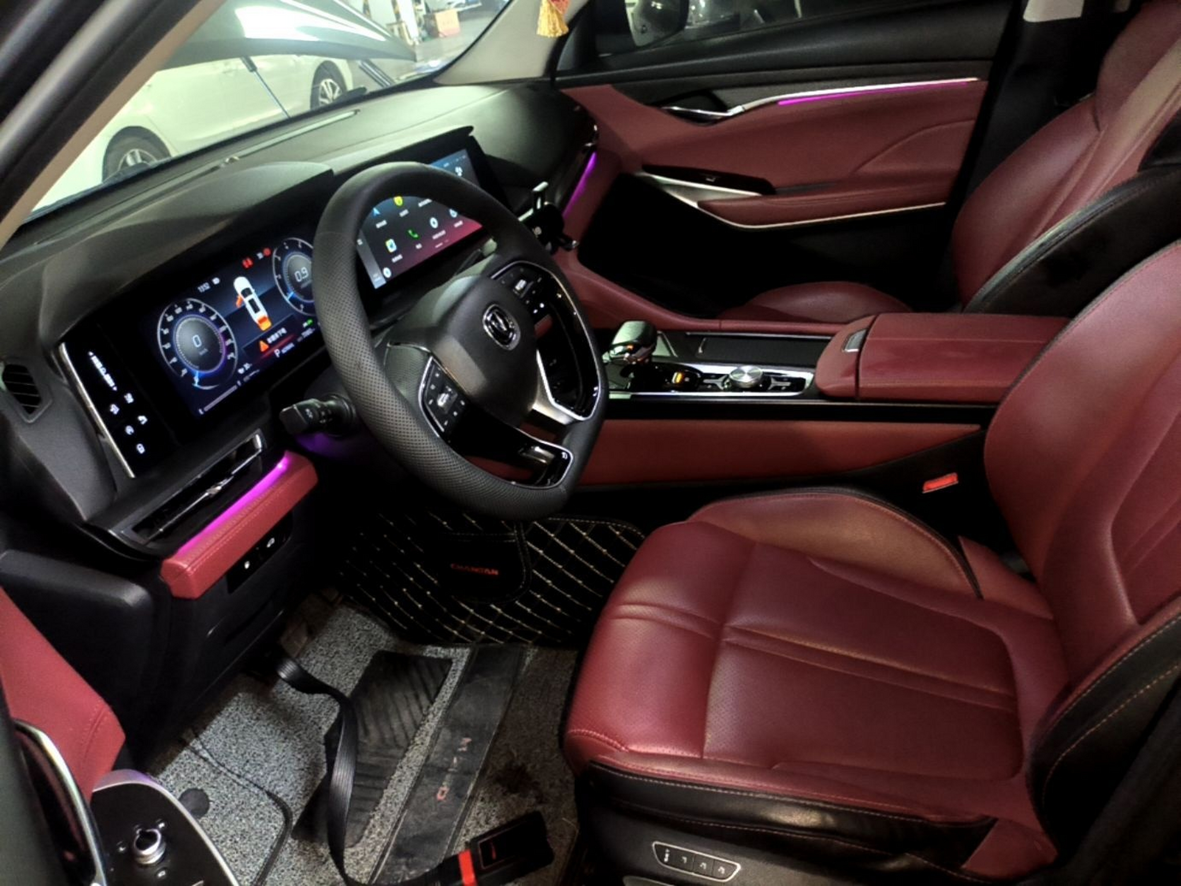 Interior delantero