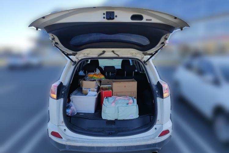 Used Toyota RAV4 2018 2.0L CVT Two-Wheel Drive Fashion X Edition