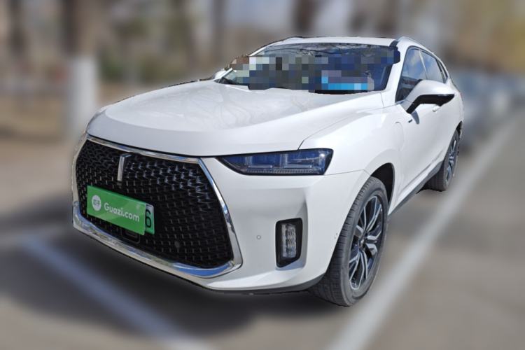 Used Wey P8 2018 2.0T Flagship Model