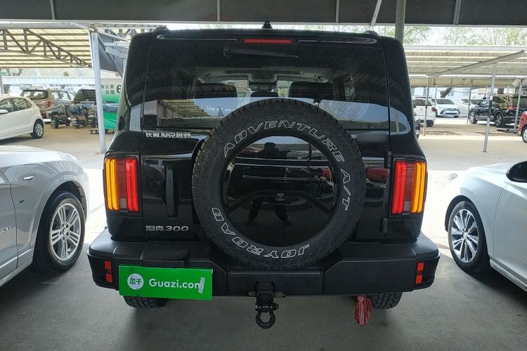 Used Tank 300 2024 2.0T Conqueror