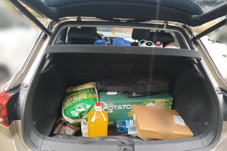 Used Volkswagen T-ROC 2020 230TSI DSG Two-Wheel Drive Advanced Version