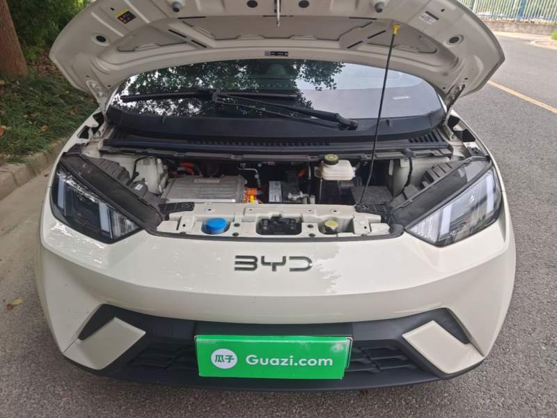 Used BYD Seagull 2025 305km Active Version — 19