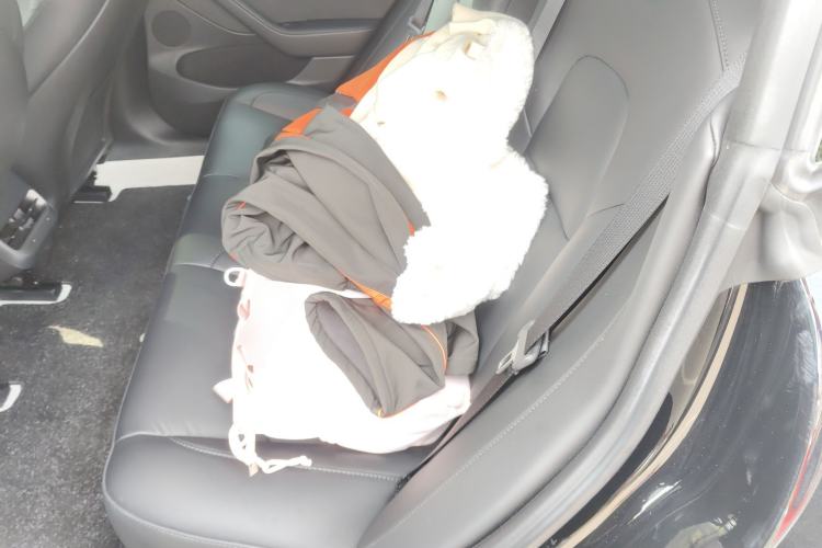 Used Tesla Model 3 2022 Rear-Wheel-Drive Version
