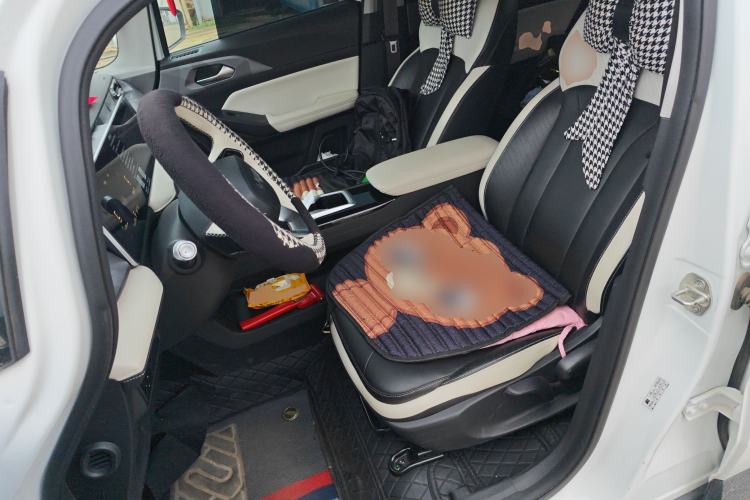 Used Geometry E Firefly 2023 401KM Linglong Tiger 5-Seater Left Front Seat