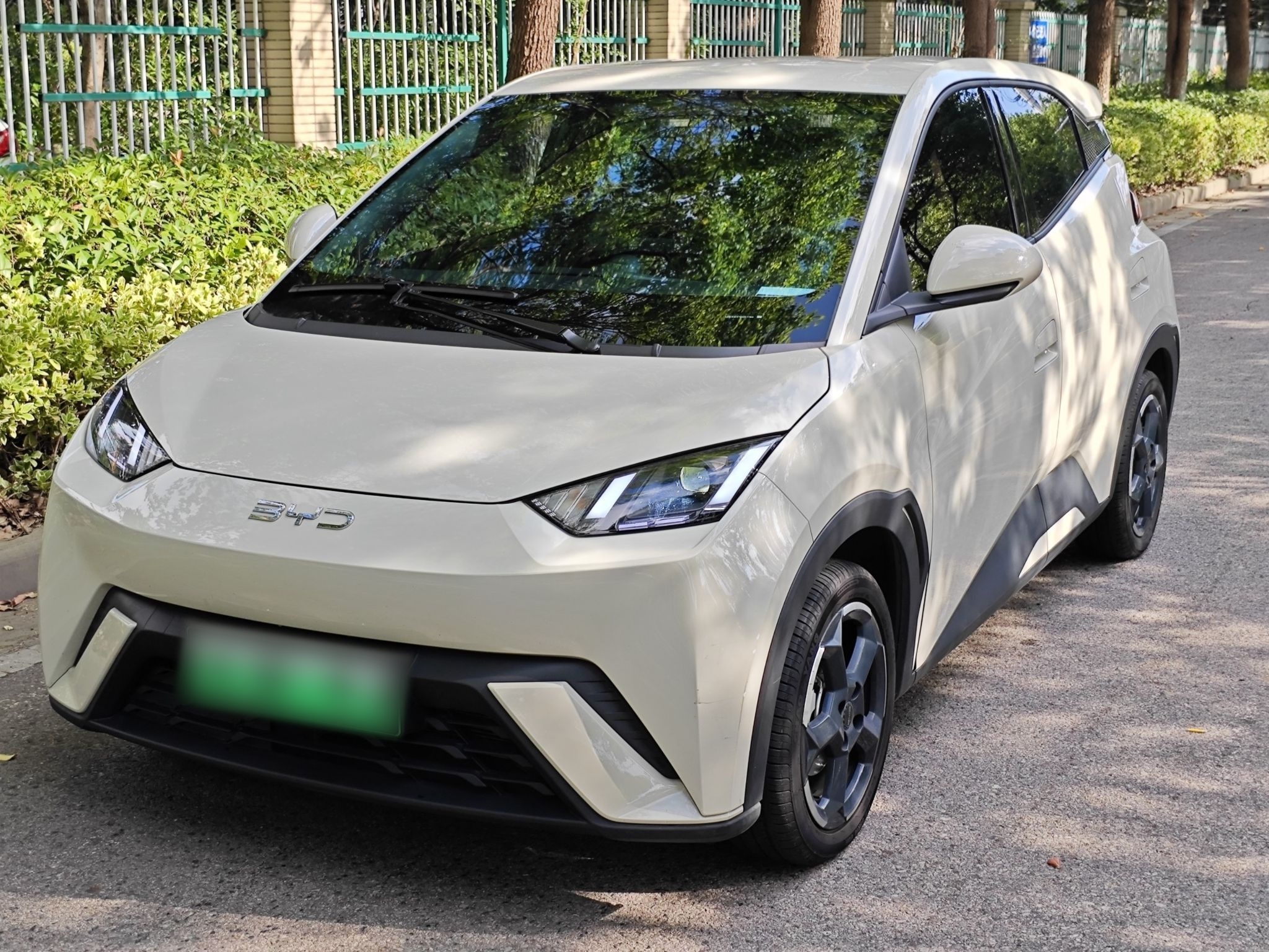 Parte inferior delantera