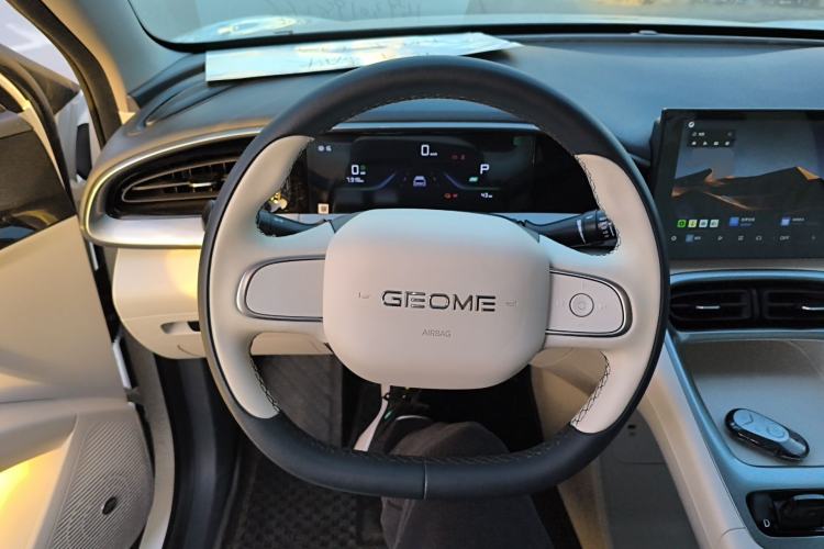 Used Geely Galaxy Geome 2025 310km Youth Edition
