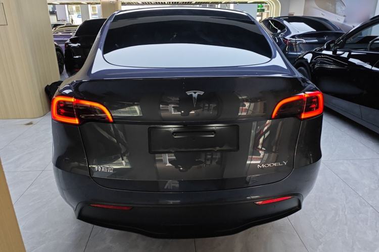 Used Tesla Model Y 2022 Revised Version Long-Range All-Wheel Drive