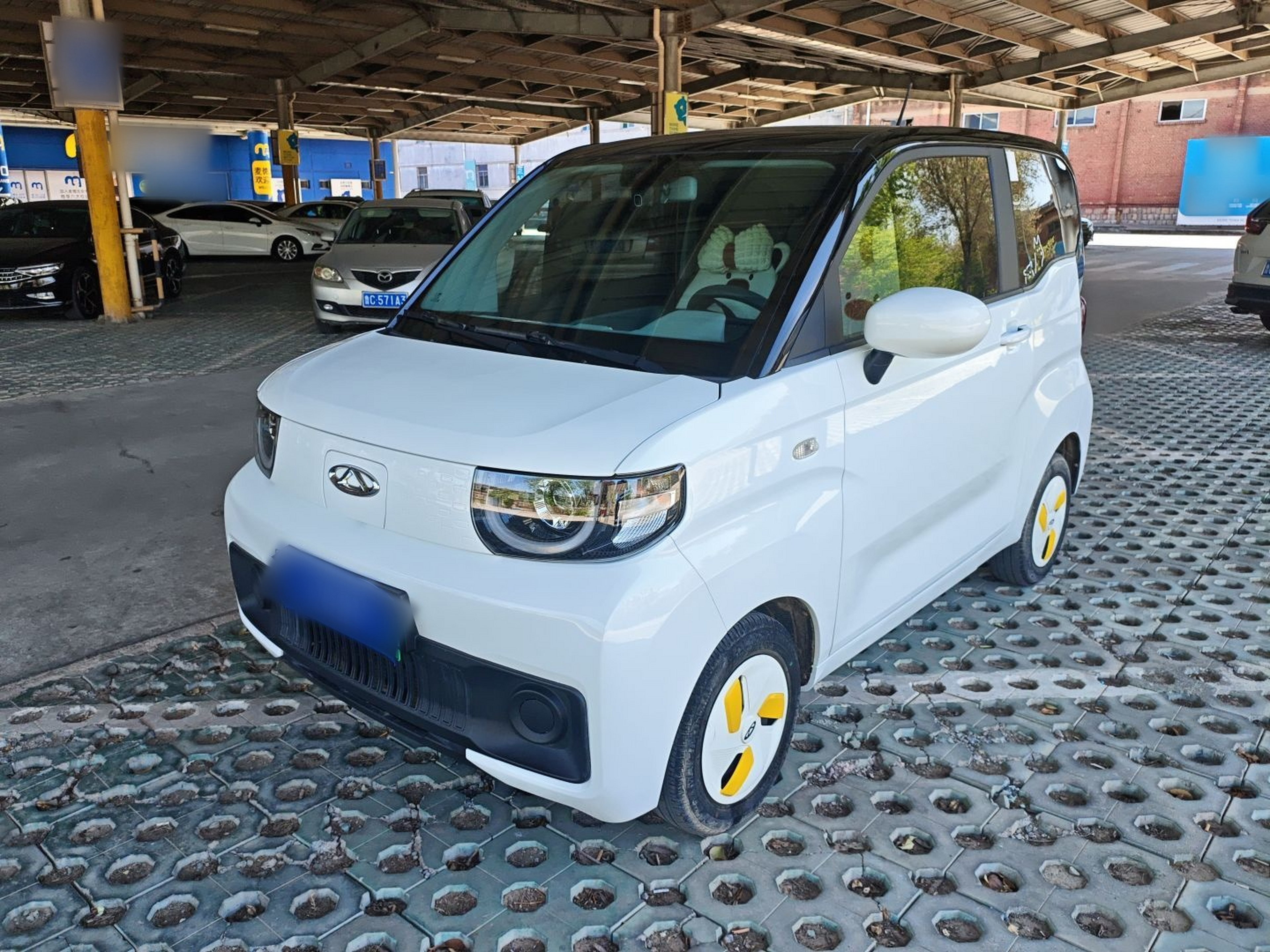 Parte inferior delantera