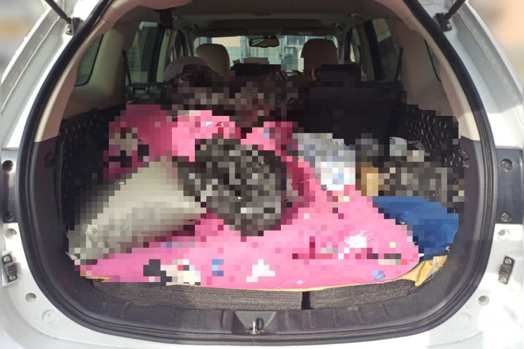 Used Mitsubishi Outlander 2018 2.0L Two-Wheel Drive Glory Edition 5 Seats