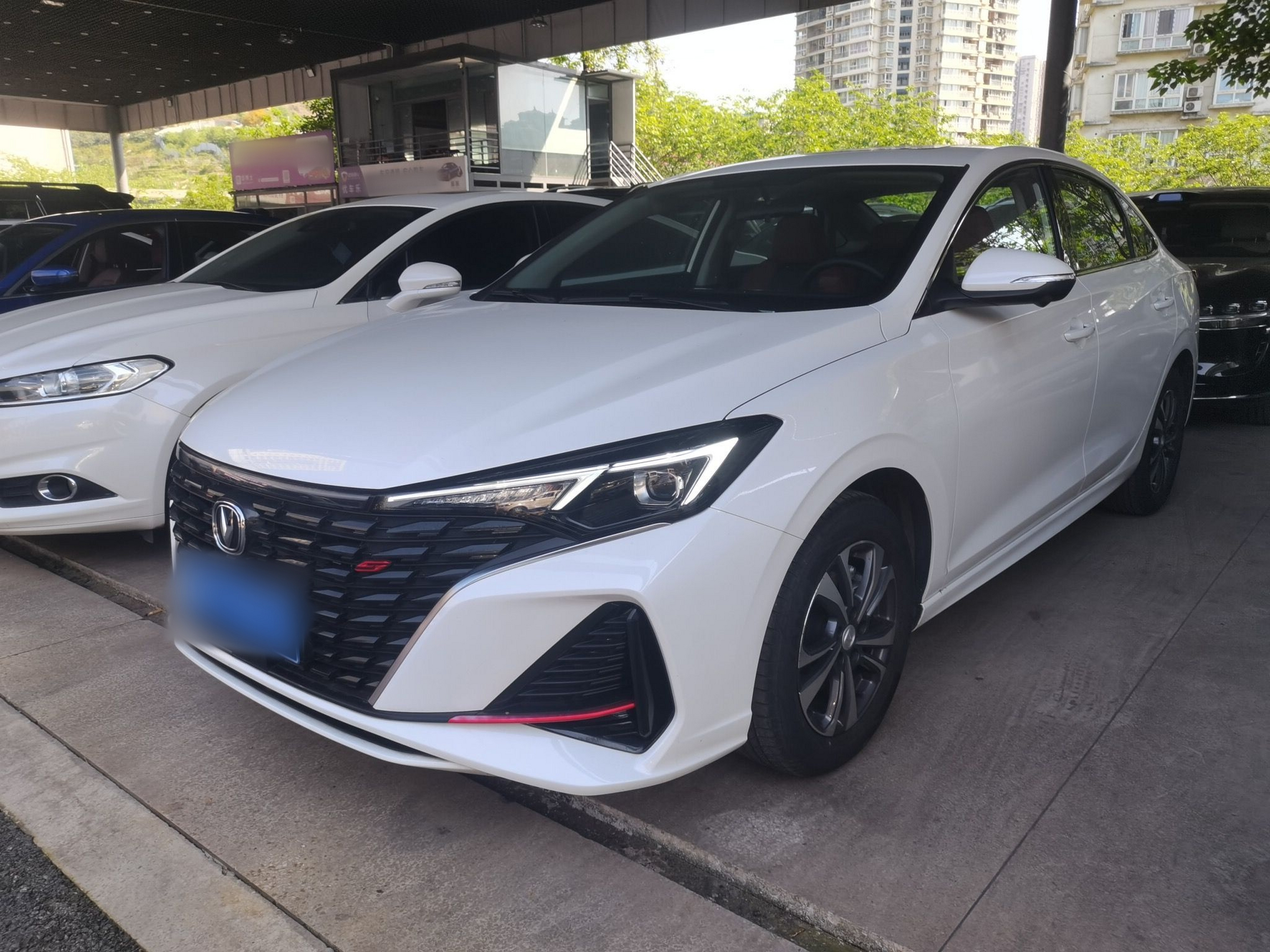 Parte inferior delantera