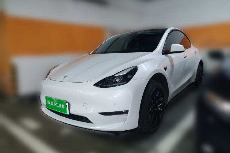 Used Tesla Model Y 2021 Standard Range Rear-Wheel Drive Version