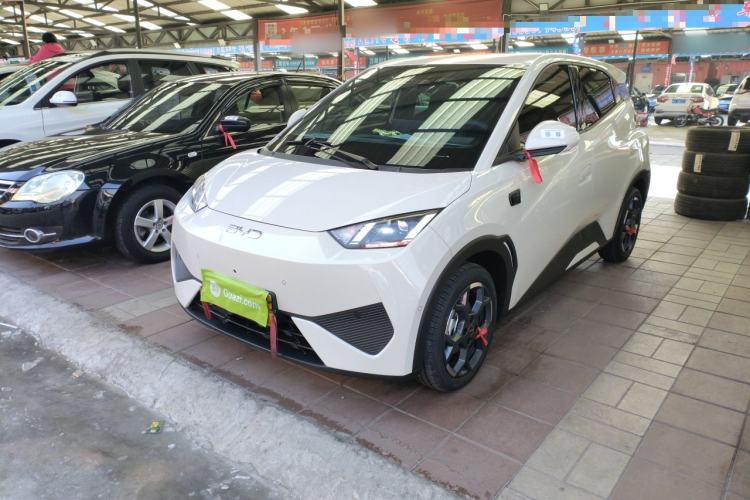 Used BYD Seagull 2025 Smart Drive Version 305 km Freedom Edition