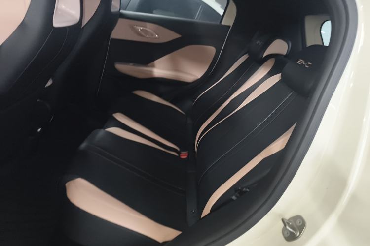 Used BYD Seagull 2023 Free Edition Left Rear Seat