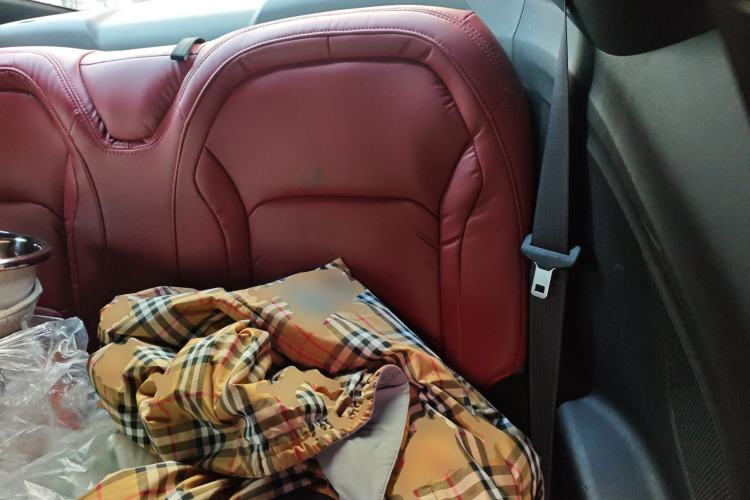 Used Chevrolet Camaro 2017 2.0T RS