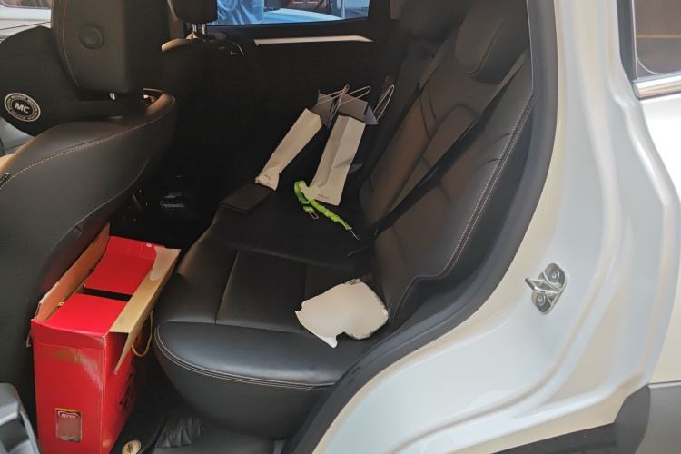 Used Haval DARGO 2021 2.0T DCT Two-Wheel Drive Chinese Mastiff Edition Left Rear Seat